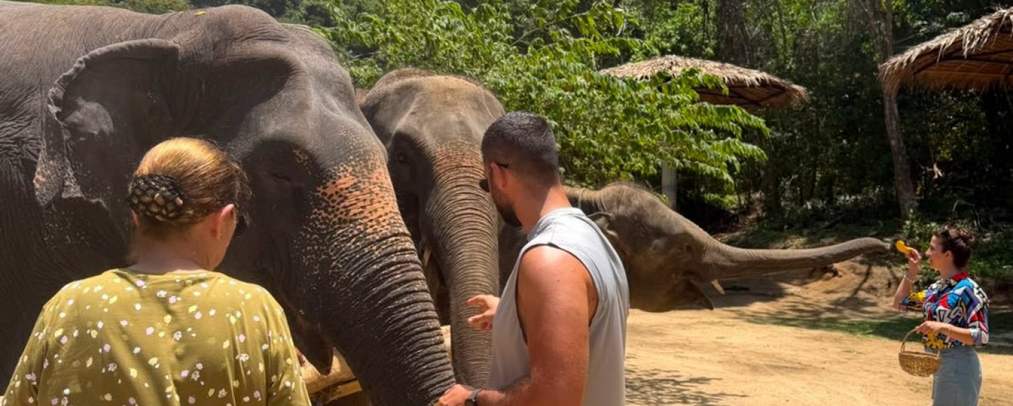 Phuket Elephant World