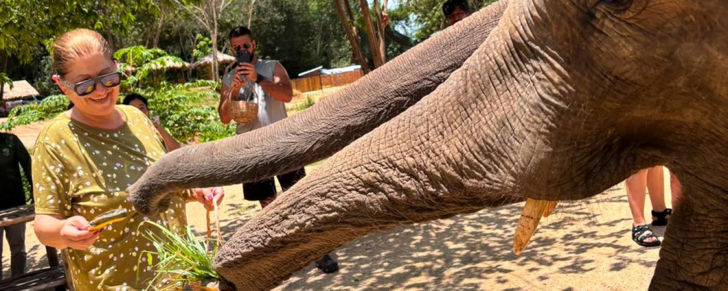 Phuket Elephant World