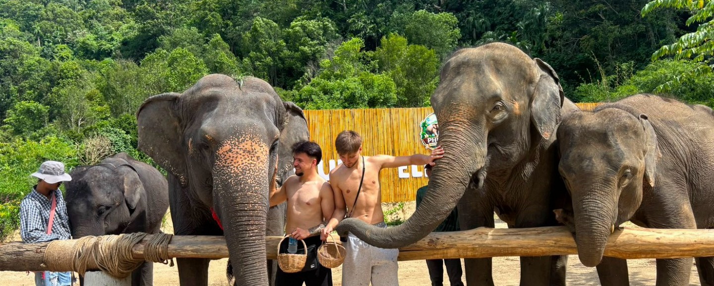 Phuket Elephant World