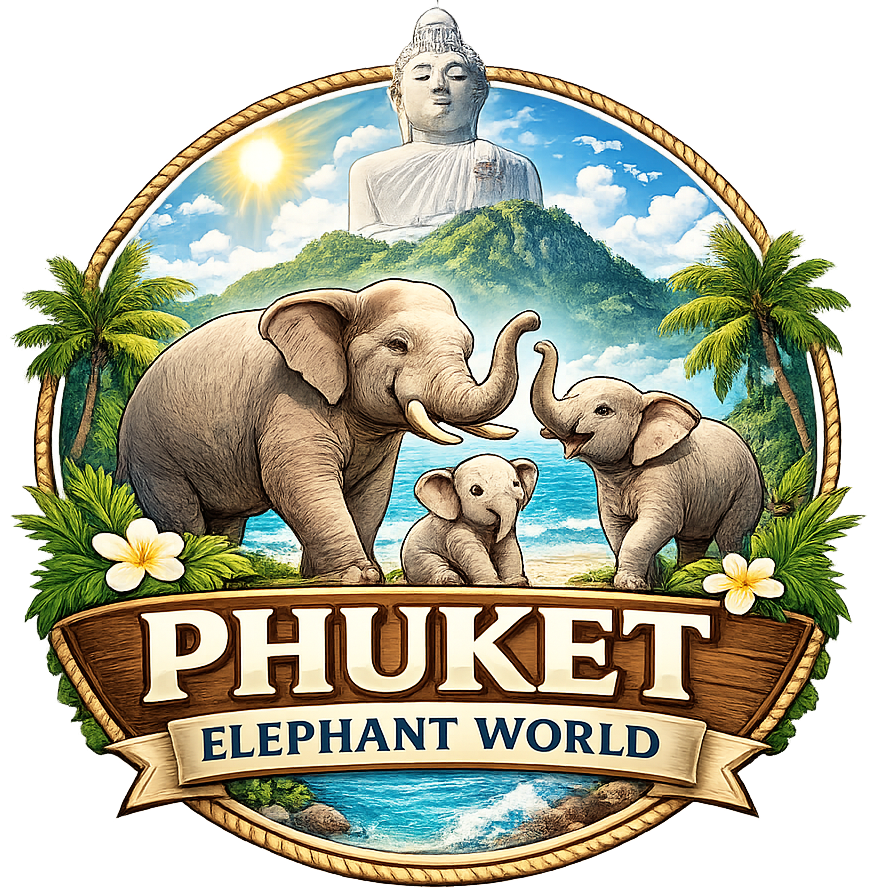 Phuket Private Driver
