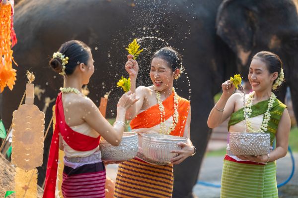Shower with Elephants