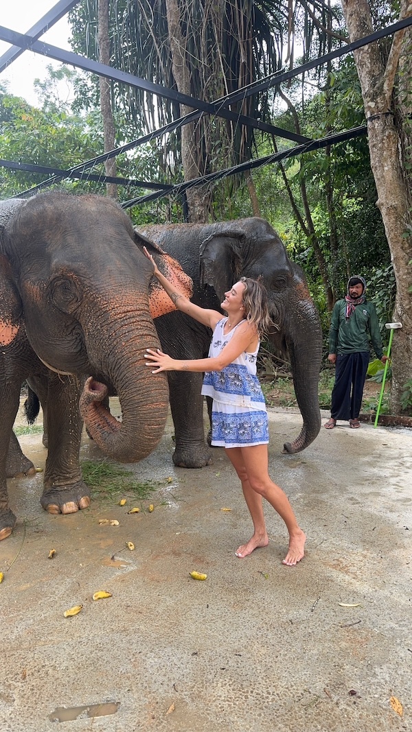 Shower with Elephants
